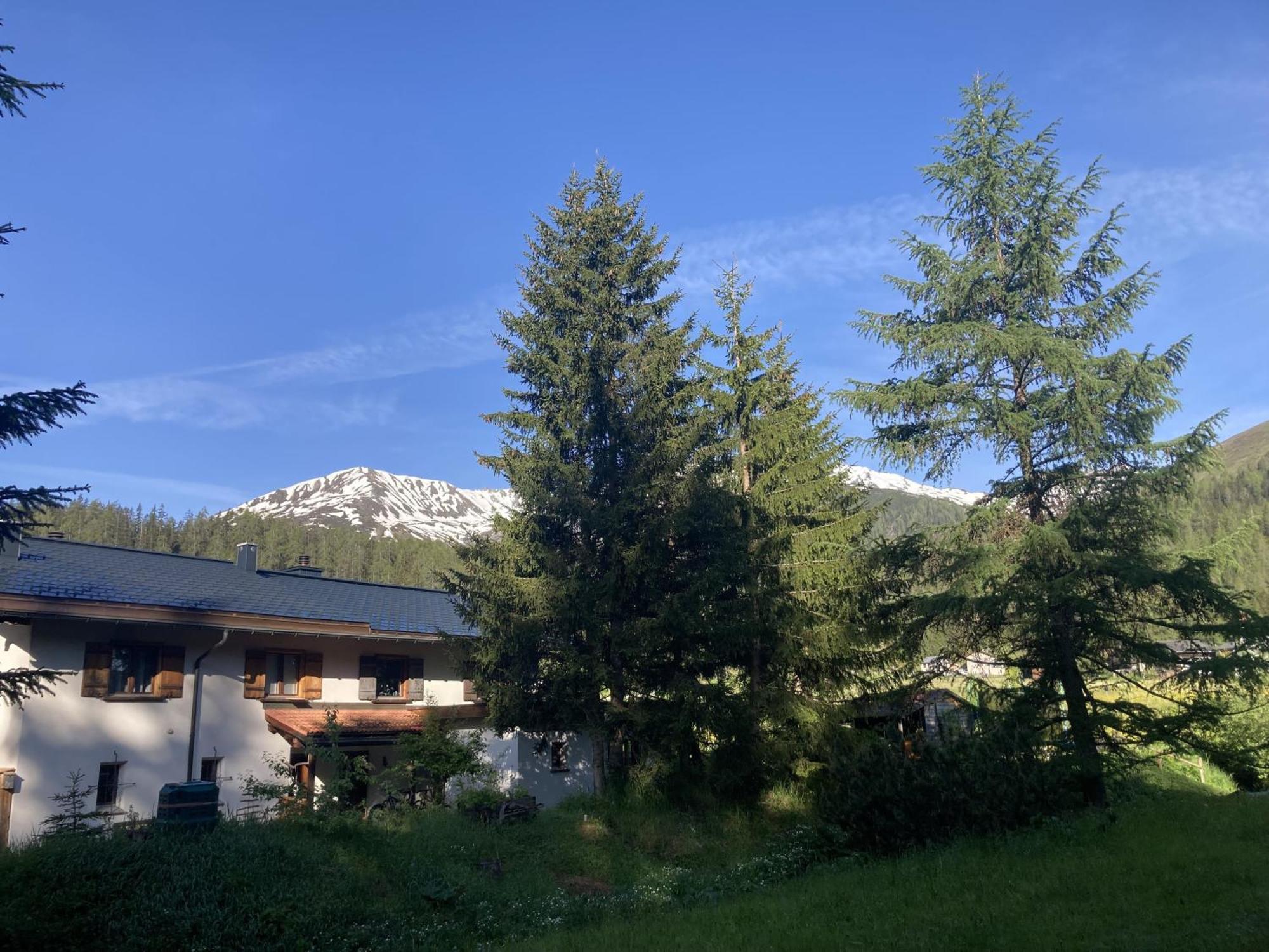 Ferienwohnung Haus Ginseng Davos Esterno foto