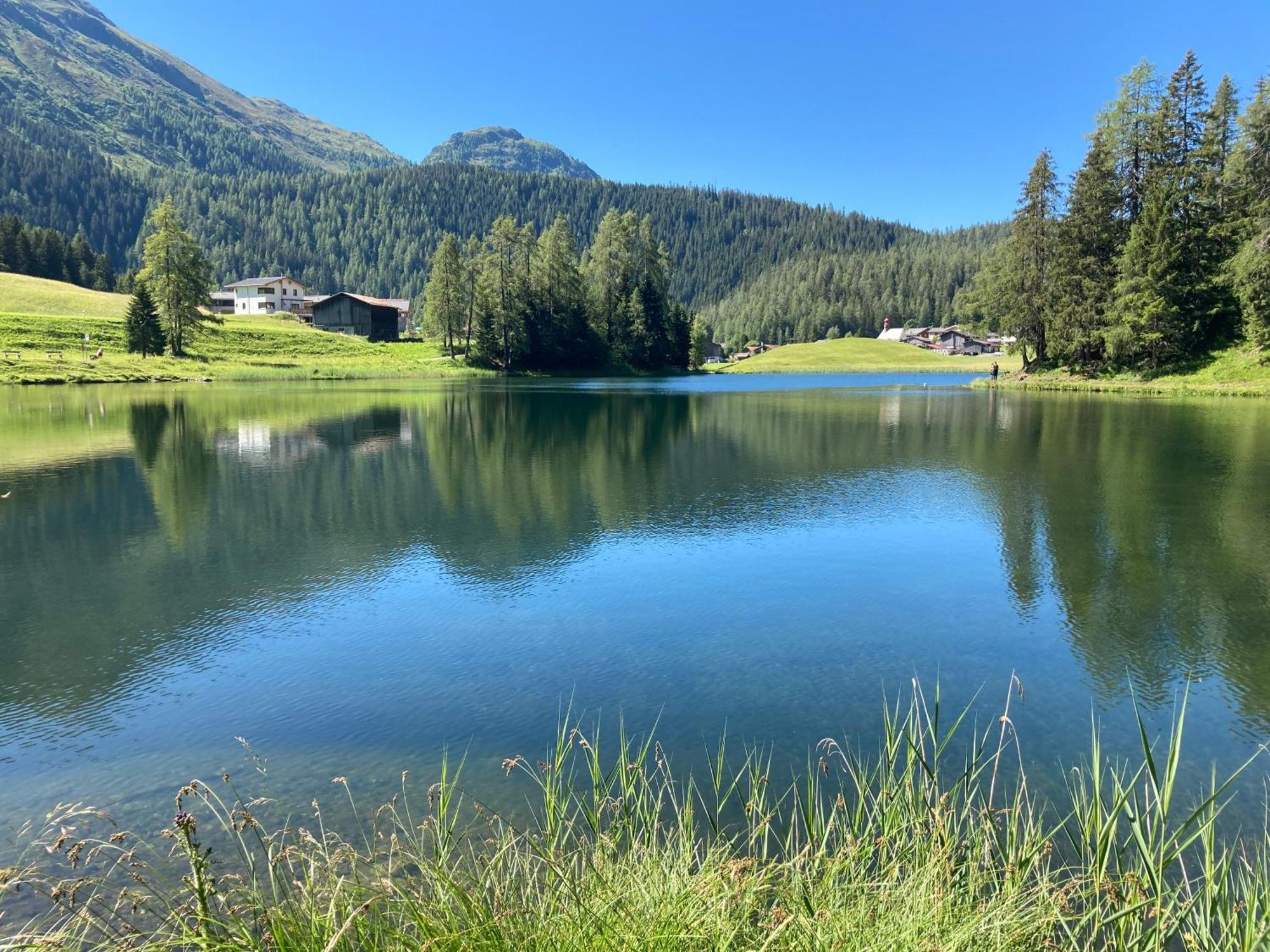 Ferienwohnung Haus Ginseng Davos Esterno foto