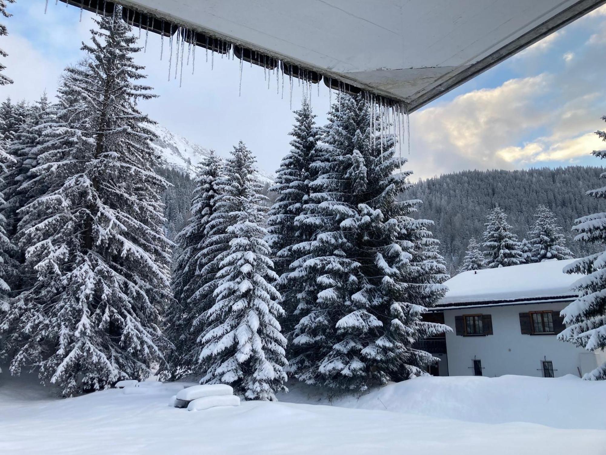 Ferienwohnung Haus Ginseng Davos Esterno foto